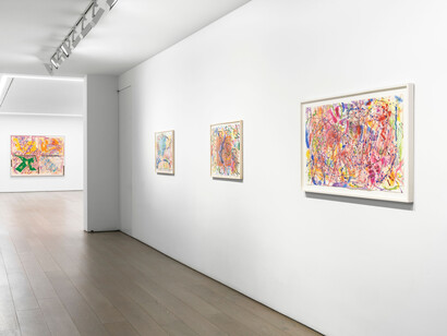 Nancy Graves, Moonwater, exhibition view. Courtesy of Galleries Perrotin