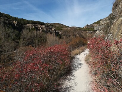 Bei percorsi di trekking con i colori dell'autunno

