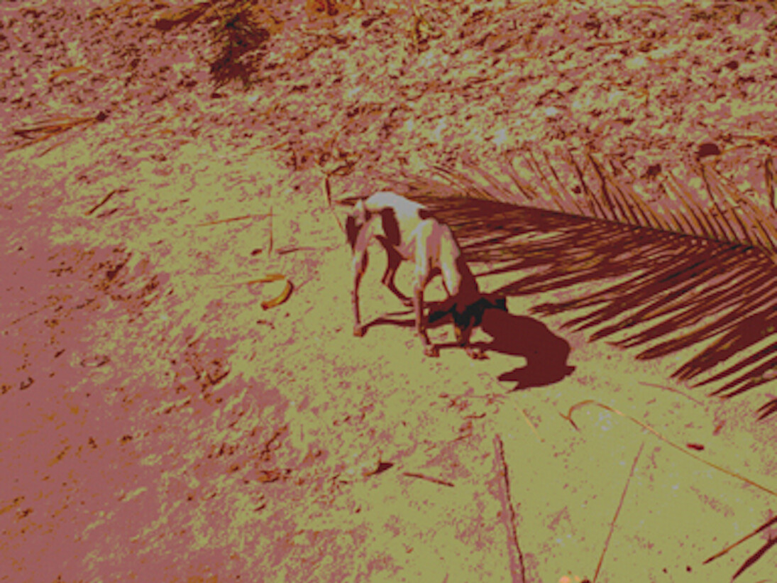 Julien Bismuth, Steganogram XXII (une image plage), 2016, 57 x 87 cm , N°1/3 + 2 E.A.
Courtesy Galerie GP & N Vallois, Paris
