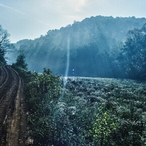 Back-To-The-Land. Courtesy of Soho Photo Gallery