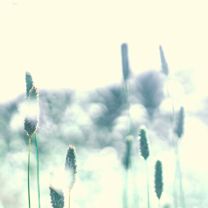 El hilo que une recogimiento y creatividad