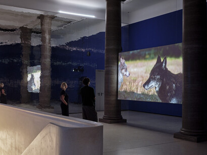 Asta Gröting, A wolf, primates and a breathing curve, exhibition view. Courtesy of Museum Städel