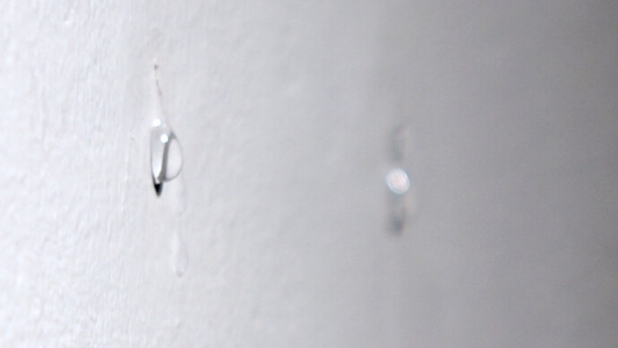 Joséphine Wister Faure. Courtesy of DENK gallery