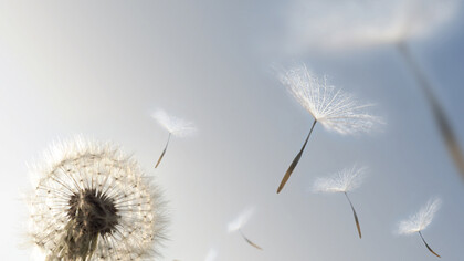 Breath, retain and let go