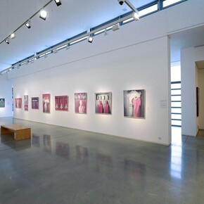 Vladimír Komárek. Courtesy of Danubiana