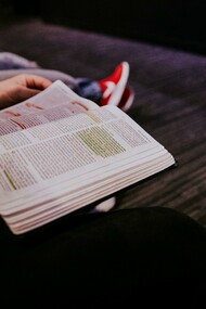 Organizare l'apprendimento