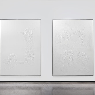 Santiago Taccetti, ISO 9001, installation view