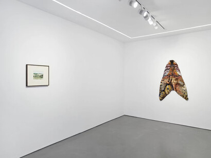 Various artists, Metabolic rift, exhibition view. Courtesy of Josh Lilley Gallery
