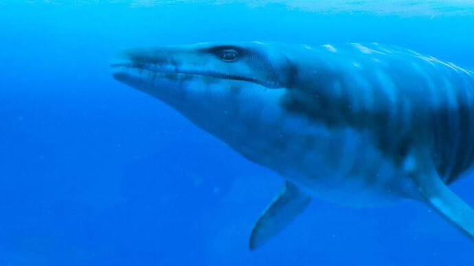 Mosasaur Hall. Courtesy of Royal Belgian Institute of Natural Sciences