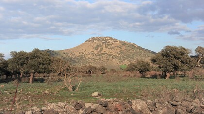 La sua vera fortuna era stata capire fin da subito quale fosse la direzione da seguire, restando fedele a quella luce interiore senza smarrirla mai