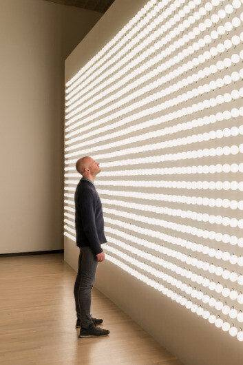 Carsten Höller. Courtesy of Museo Tamayo