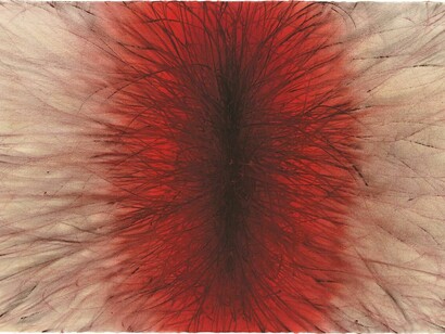 Anish Kapoor, Untitled