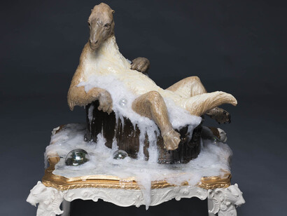 Wondrous Creatures. Courtesy of Florida Museum of Natural History