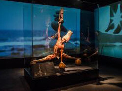 Body Worlds: Pulse. Courtesy of California Science Center