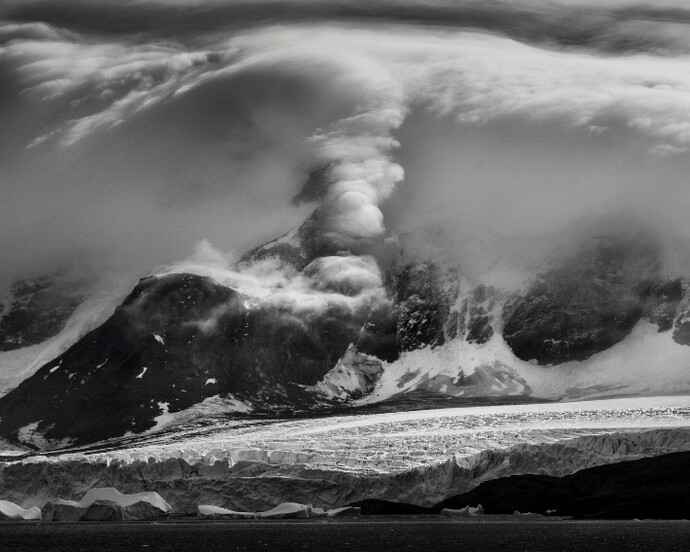 Whiteout: Visions from an Eternal Winter. Courtesy of Paul Nicklen Gallery