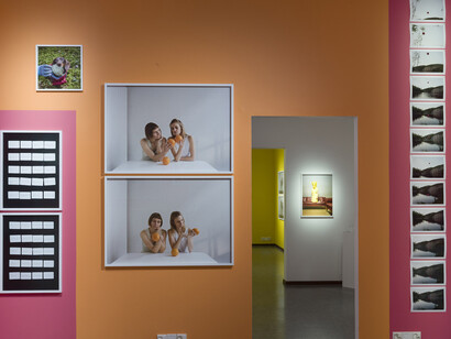 Images from the exhibition by Elina Brotherus