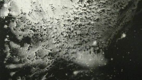 Makoto Fujimura, Cloud Vision - Oyster Shell