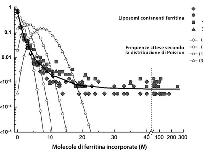 Vita e Natura. Una visione sistemica