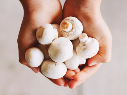 Funghi prataioli, da consumare con moderazione