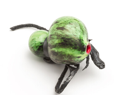 Gioiello di Paolo Marcolongo