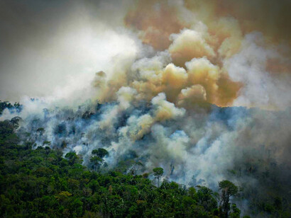 Amazonie en feu. Le gouvernement Bolsonaro n’a pas été en mesure de modifier localement les lois environnementales, il a cependant assoupli les sanctions et encouragé plus ou moins directement la déforestation © EPA/MAXPPP