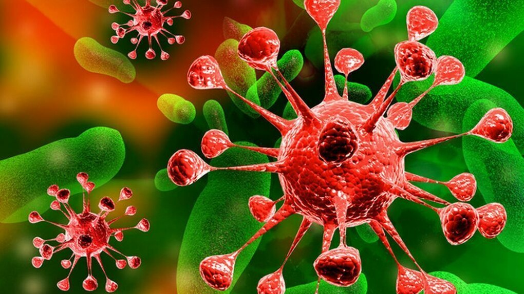 Virus