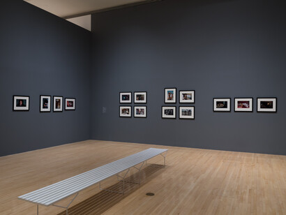 Installation view of Diary of flowers: Artists and their worlds, March 9, 2025–January 4, 2026 at
MOCA Grand Avenue. Courtesy of The Museum of Contemporary Art (MOCA). Photo by Jeff
McLane
