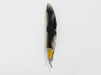Belén Uriel, Wandering moths, vista da exposição. Cortesia da Galeria Madragoa