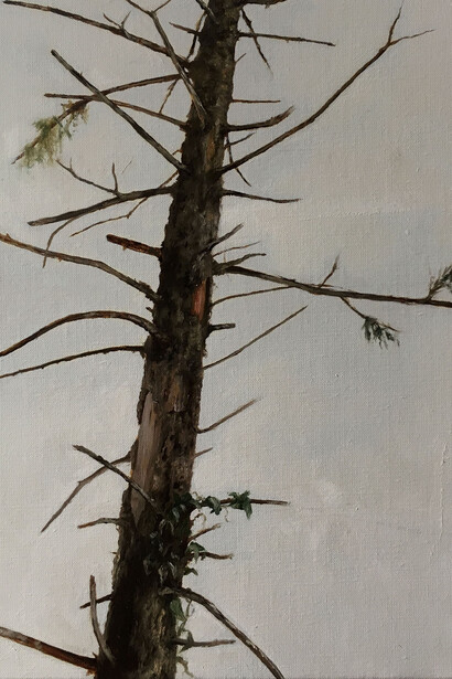 Ramificazioni. Courtesy of Gilda Contemporary Art