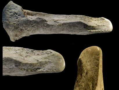 Strumenti fatti di ossa, soprattutto di elefante, risalenti a circa 400.000 anni fa scoperti nell'area di Castel di Guido