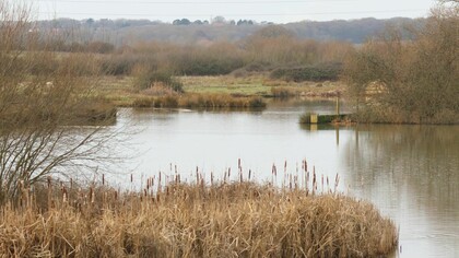 Western section of Abberton Reservoir, England with re-profiled edges, photo by Gehan de Silva Wijeyeratne