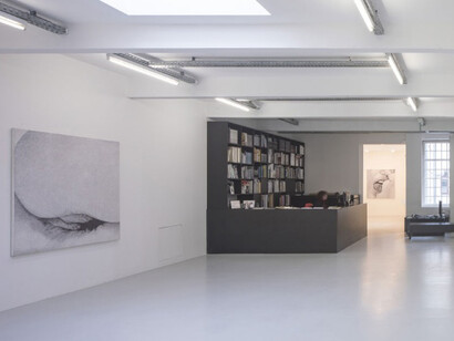 Betty Tompkins, Ausstellungsansicht, Kunstraum Innsbruck, 2017. Foto: Günter Richard Wett