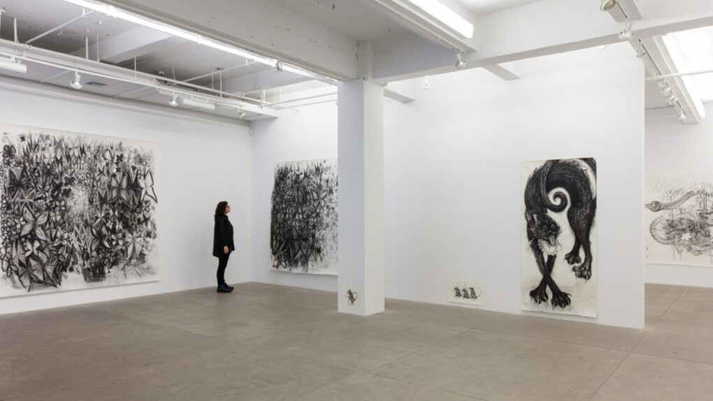 I Rot Before I Ripen, Exhibition view. Courtesy of P.P.O.W