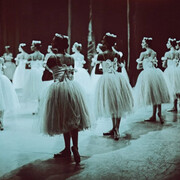 Diana Markosian, The corps (detail), 2024. Courtesy of Rosegallery