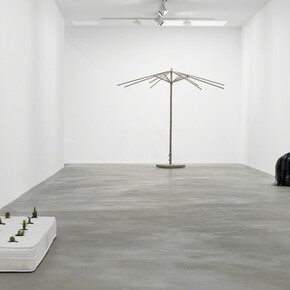 Shadow of curls. Courtesy of Blain|Southern 