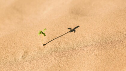 El futuro del planeta