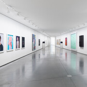 Various artists, Astrup Fearnley Collection, exhibition view. Courtesy of the Astrup Fearnley Museet