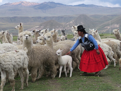 Mercedes Lamborelle, Alpaqueros, Peru -Switzerland (film still), January 2020. Mit freundlicher Genehmigung des Weltmuseums Wien
