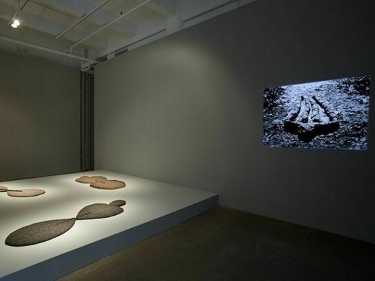 Ana Mendieta, Installation view