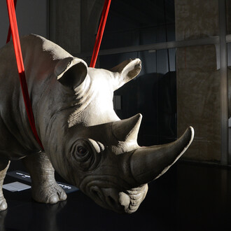 Pieza exhibida en la galería Rhinoceros ubicada en Roma, Italia