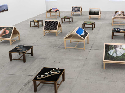 Richard Deacon. Courtesy of Marian Goodman Gallery