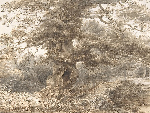 Lagoons to Monsoons. Courtesy of MET