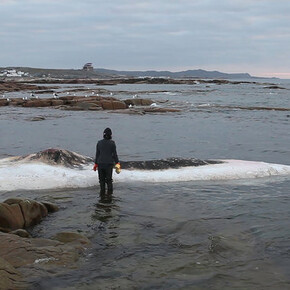 Patty Chang. Courtesy of ICA LA