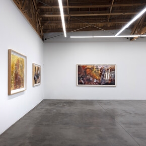 Dinh Q. Lê, Survey 1998-2023, exhibition view. Courtesy of Shoshana Wayne Gallery