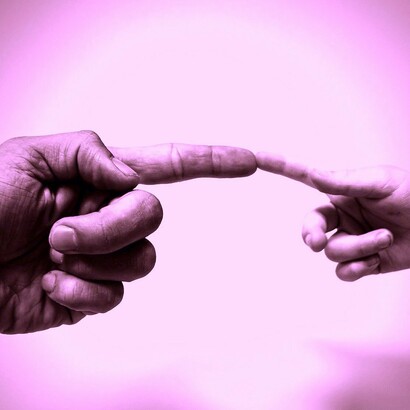 Do Homo sapiens ao cyborg