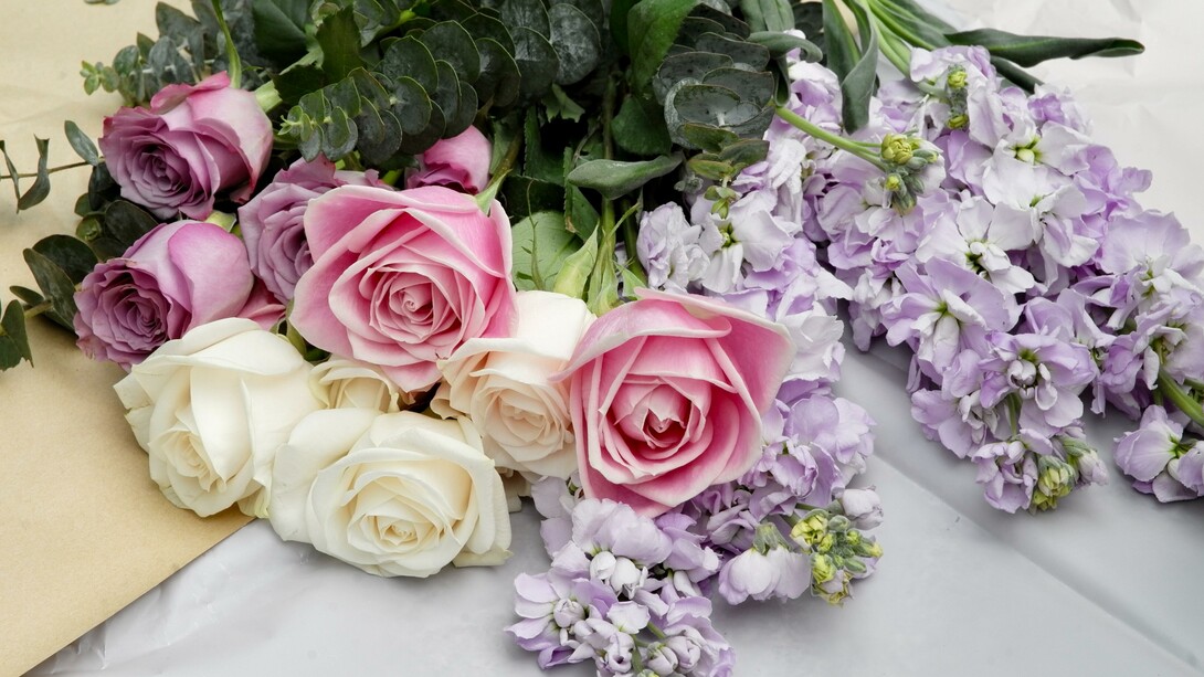 Le rose facevano sfoggio della loro corolla