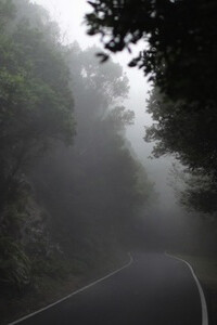 Gianfranco Foschino. Courtesy of Christopher Grimes Gallery