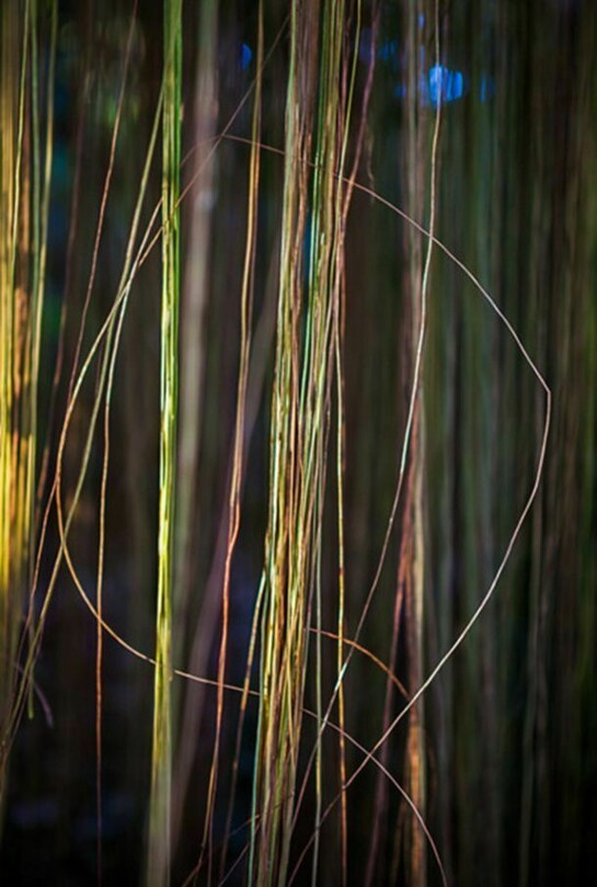 Jungle Road 12-12-44, 2012, Archival pigment print, printed 2014, 60 x 40 inches, edition of 8 © Laurie Lambrecht.