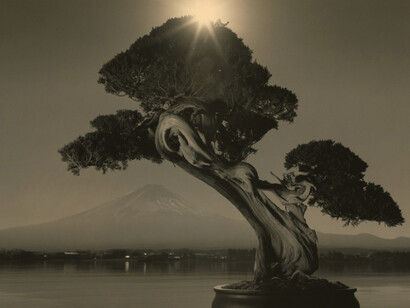 Masao Yamamoto. Courtesy of Mizuma Art Gallery 