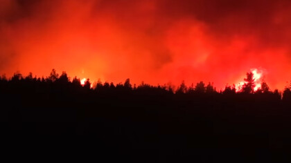 A devastating wildfire burned through the night in February in El Bolsón, Río Negro, Argentina, illuminating the sky with its intense glow